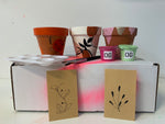 Load image into Gallery viewer, Creativity Terracotta Pot Paint Kit
